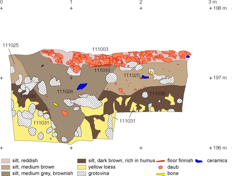 Fig 6