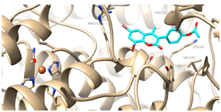 Figure 2