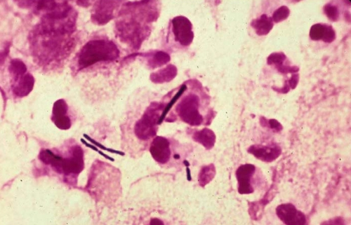 FIG. 8.