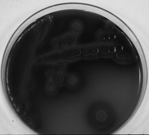FIG. 5.