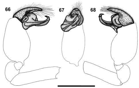 Figures 66–68.