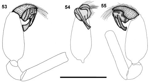 Figures 53–55.