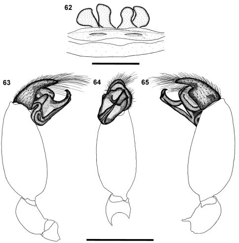 Figures 62–65.