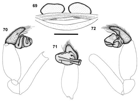 Figures 69–72.