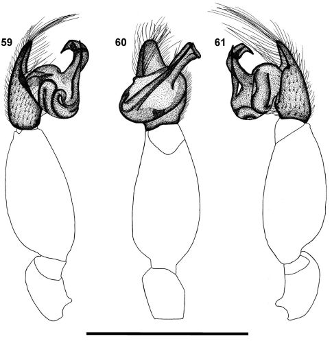 Figures 59–61. 