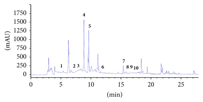 Figure 7