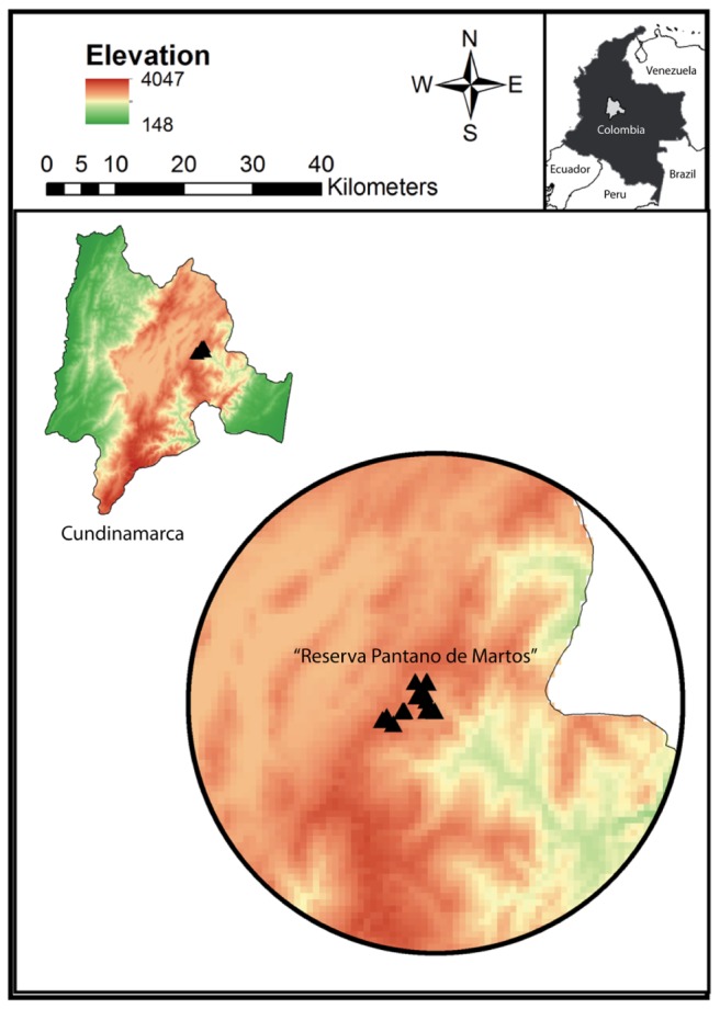 FIGURE 1