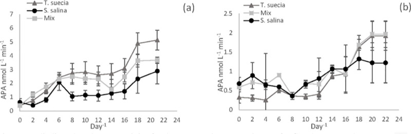 Fig 5