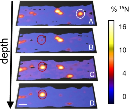 Fig. 4.