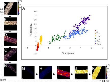 Fig. 2.