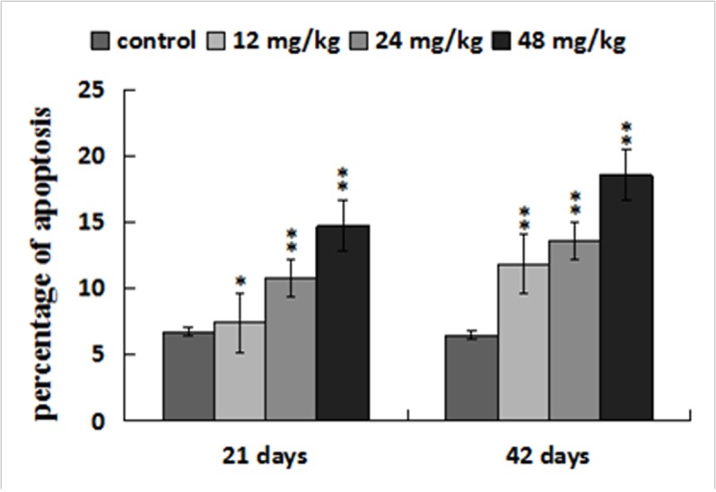 Figure 11