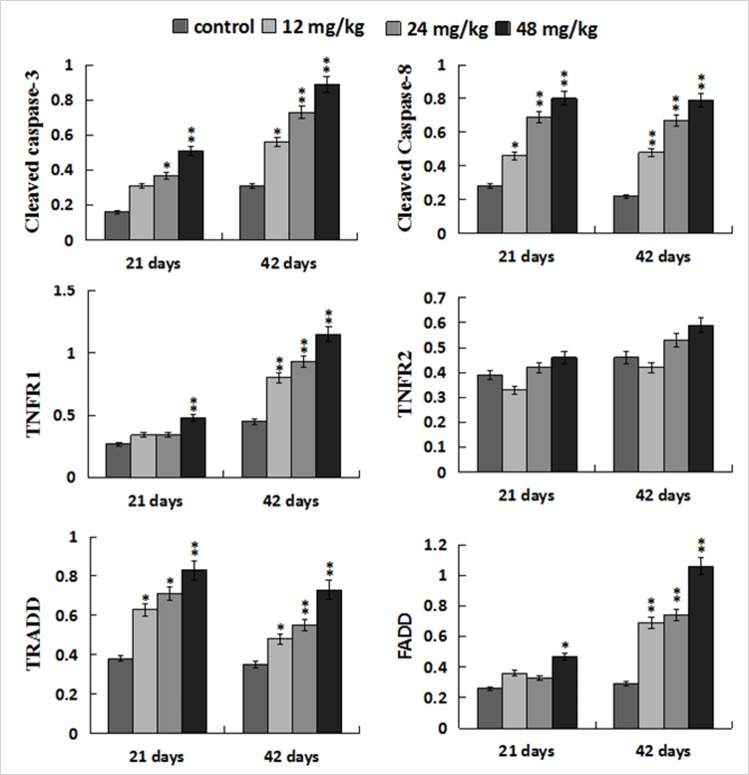 Figure 14