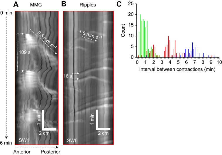 Fig. 3.