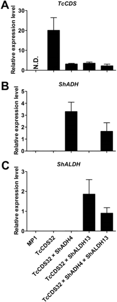 Fig. 4.