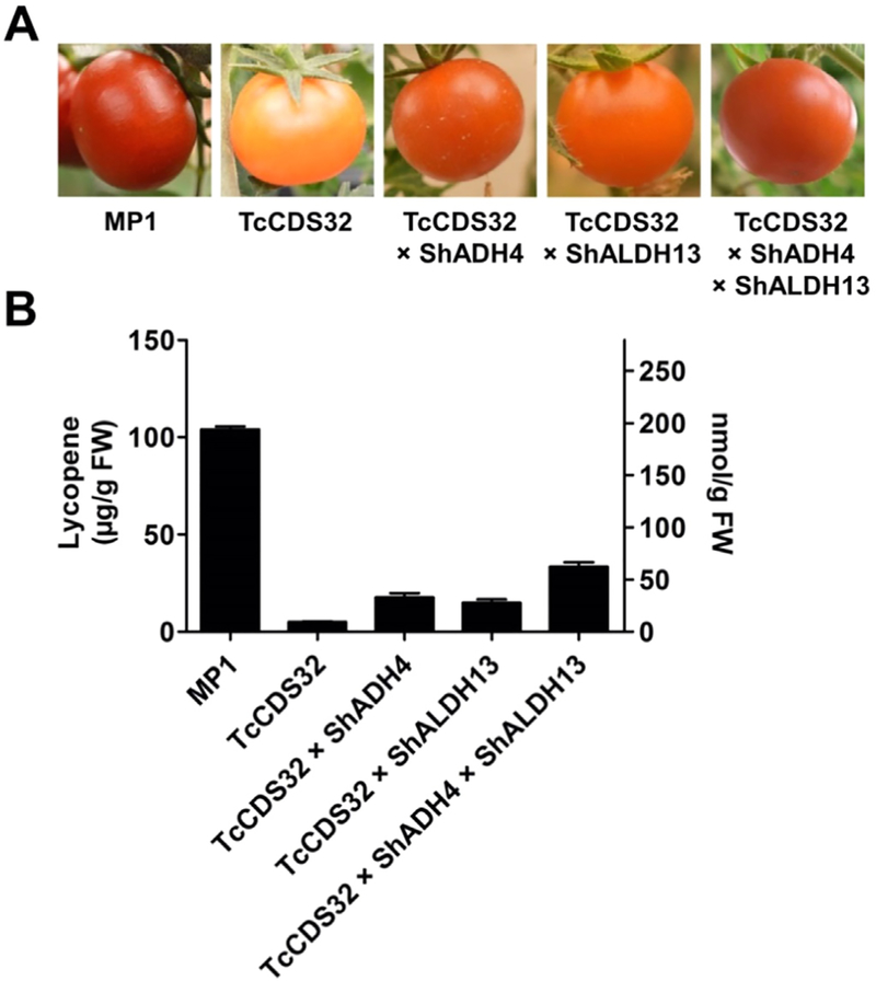 Fig. 6.