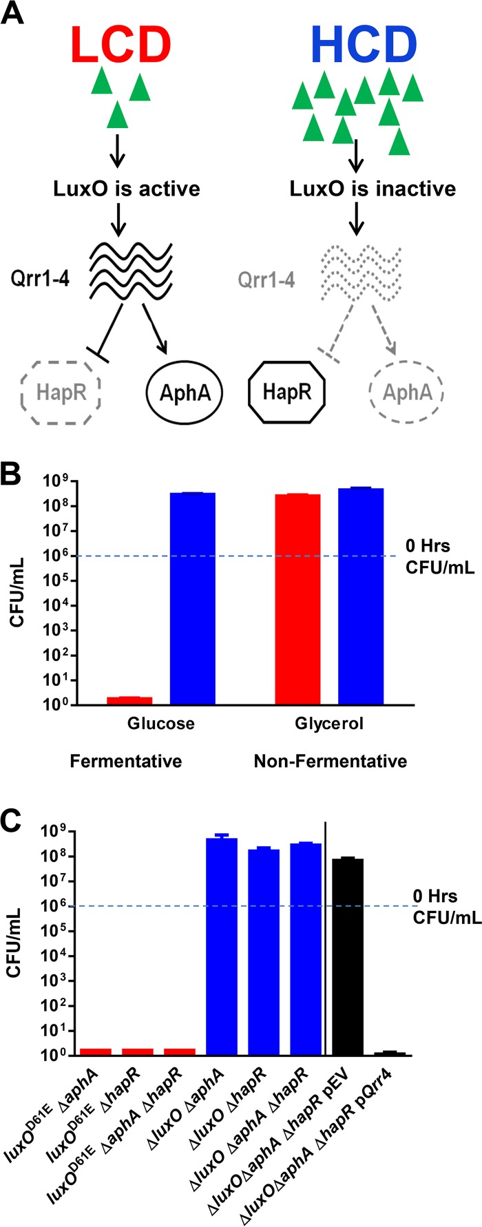 FIG 1 