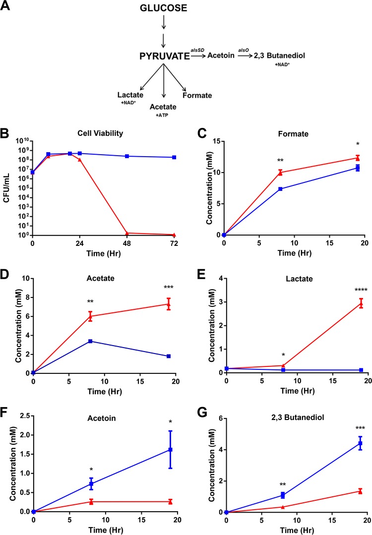 FIG 3 