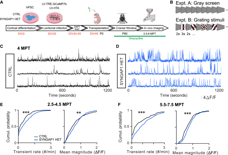 Figure 3