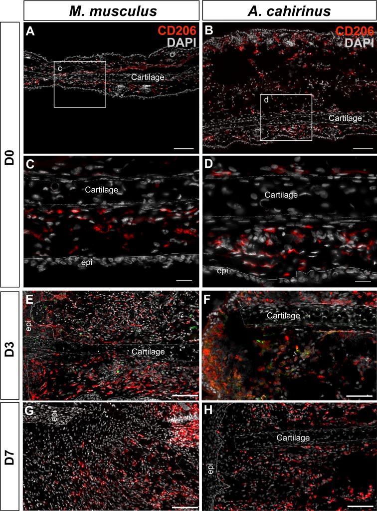 Figure 6—figure supplement 2.