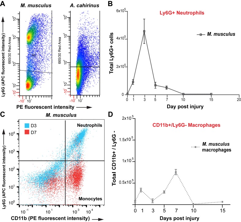 Figure 2—figure supplement 2.