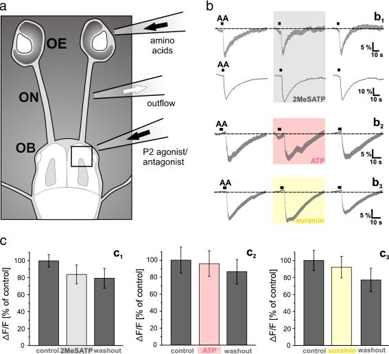 Fig. 8