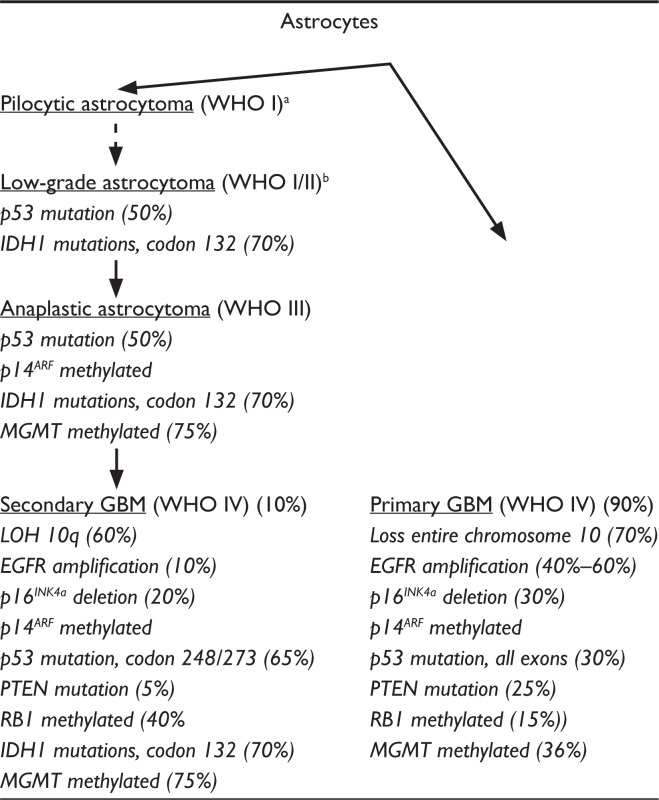 graphic file with name pgpm-3-111f4.jpg