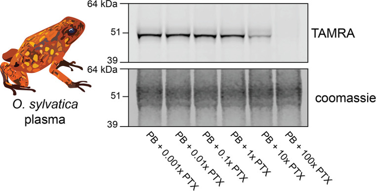 Figure 1—figure supplement 1.