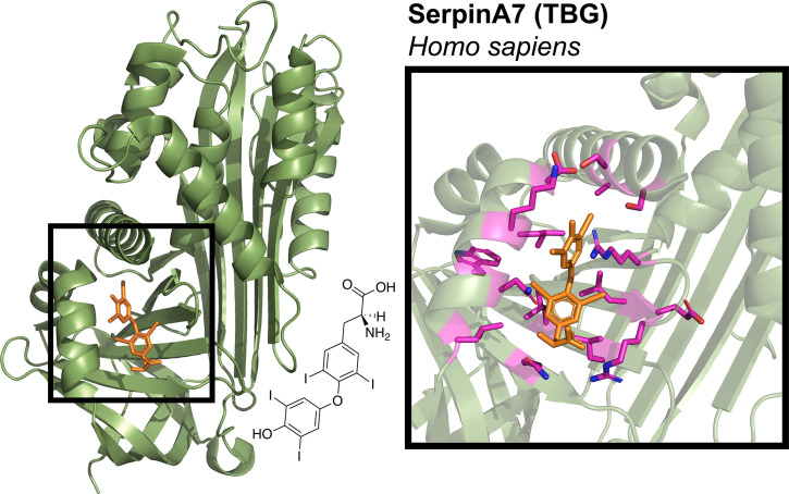 Figure 3—figure supplement 2.