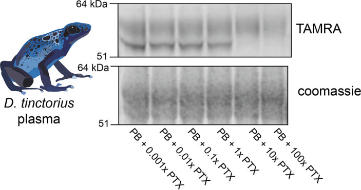 Figure 1—figure supplement 2.