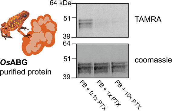 Figure 4—figure supplement 2.