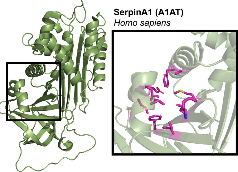 Figure 3—figure supplement 1.