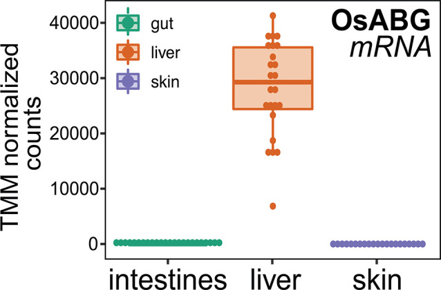 Figure 6—figure supplement 1.