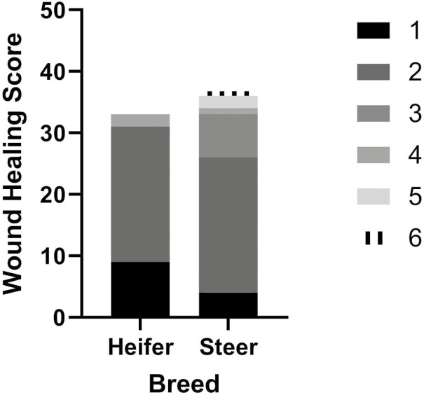 Figure 4.