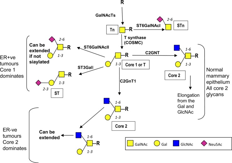 Figure 1.