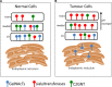 Figure 2.