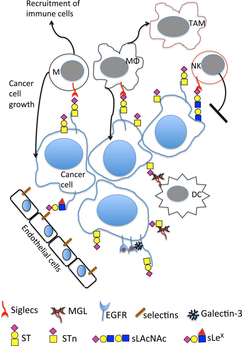 Figure 3.