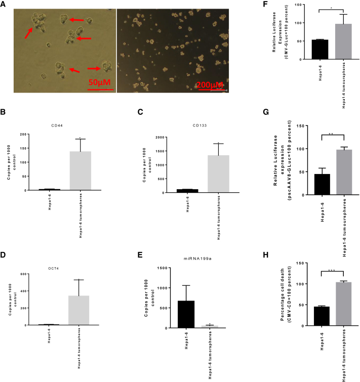 Figure 6