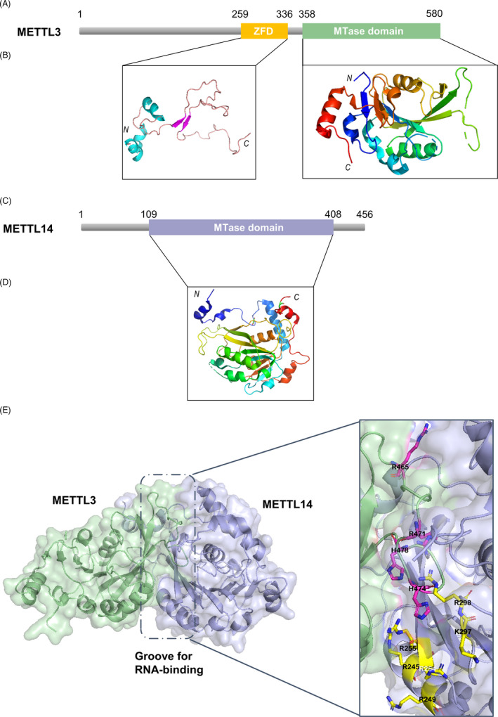 FIGURE 2