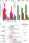 FIG 6