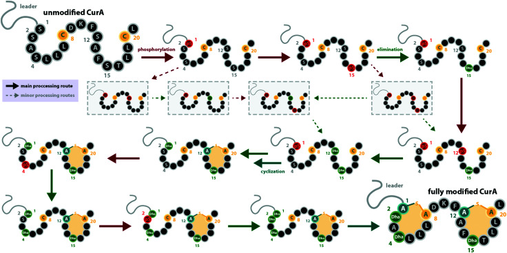 Fig. 3