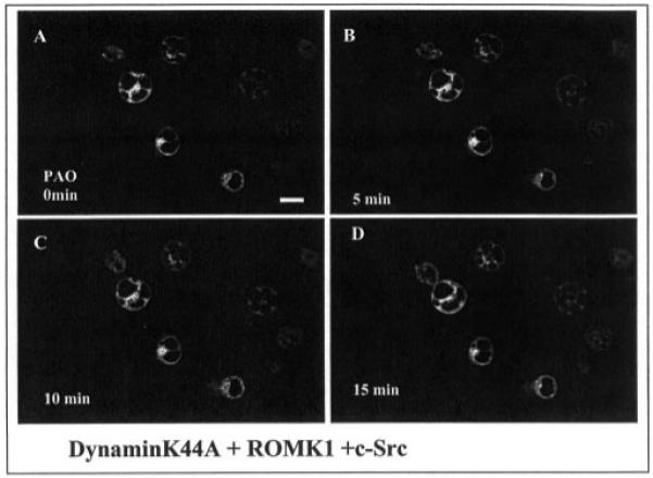 Fig. 9