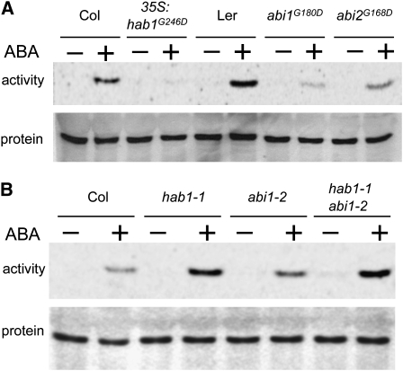 Figure 6.