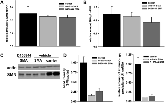 Figure 3.