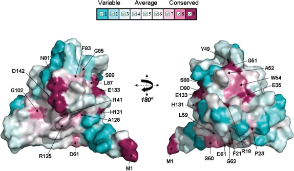 Figure 11.