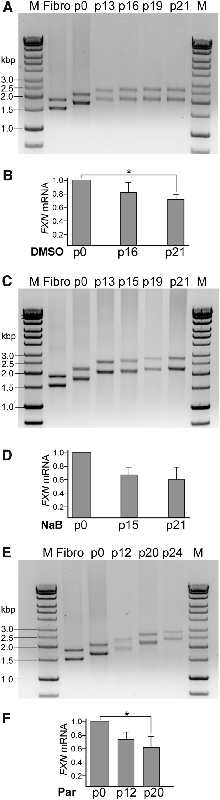 FIG. 6.