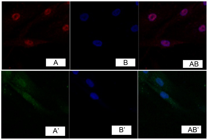 Figure 2.