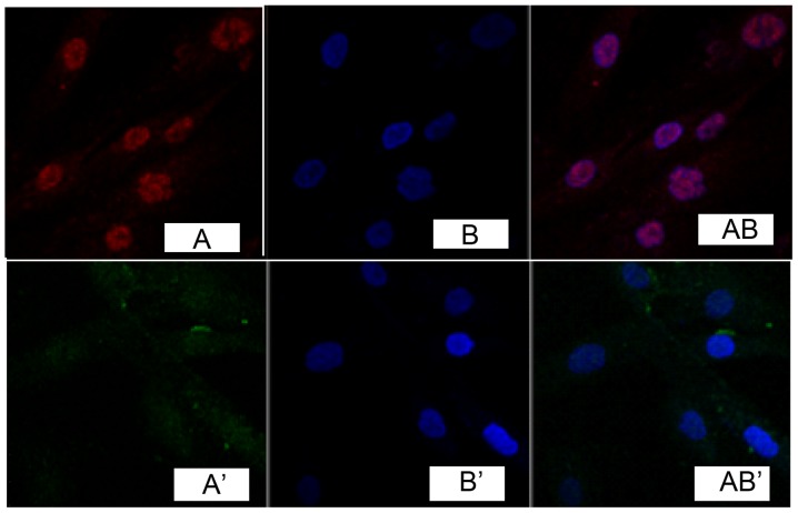 Figure 3.