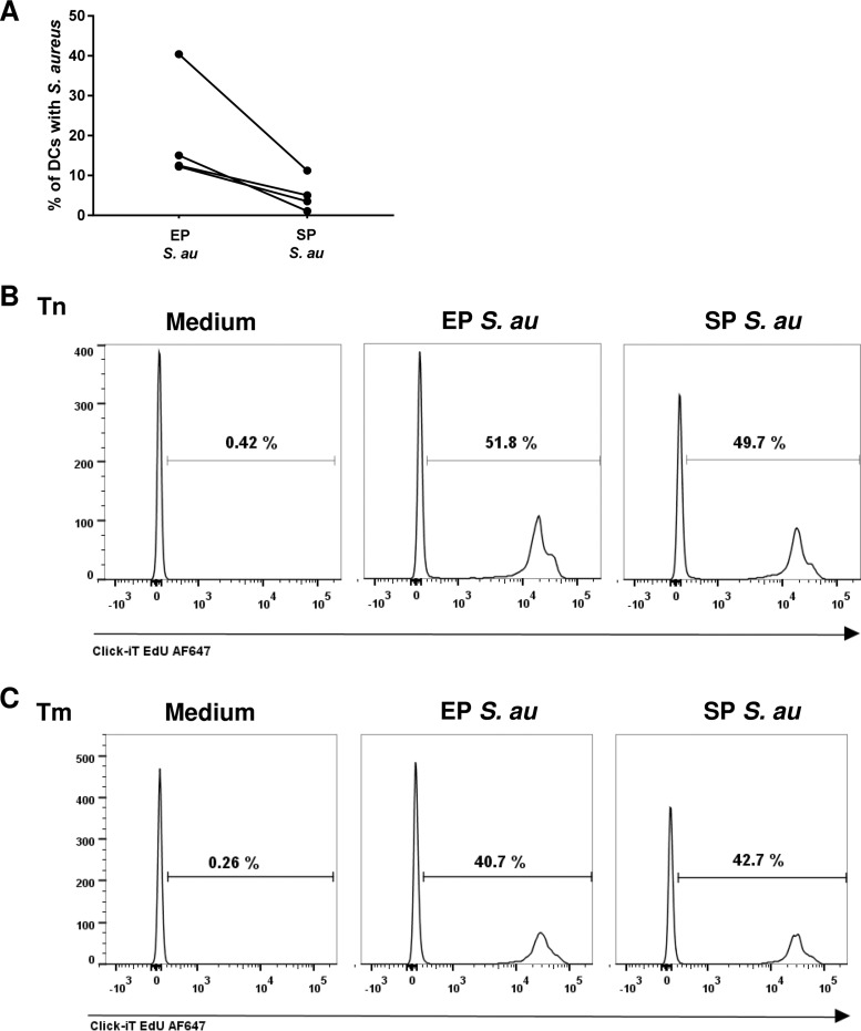 FIG 2