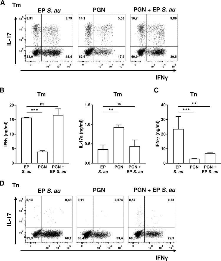 FIG 5