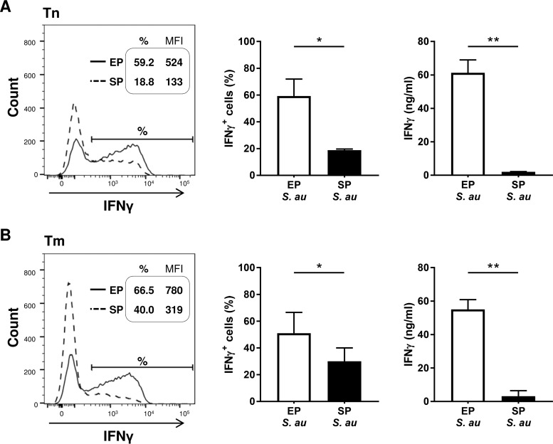 FIG 3